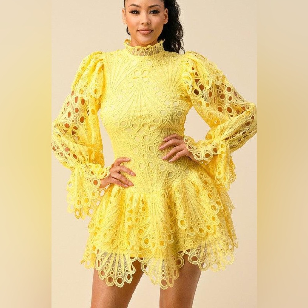 The Sang CROCHET LACE WITH BELL SLEEVE DETAILED MINI DRESS Size Small